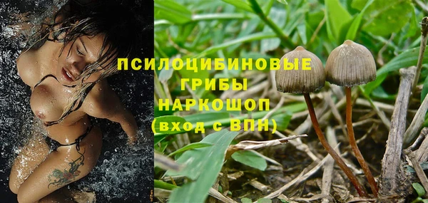 гидра Новокубанск