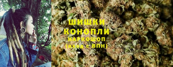 амф Горняк