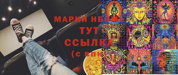 амф Горняк