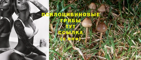 меф Володарск