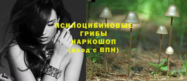 СК Новозыбков