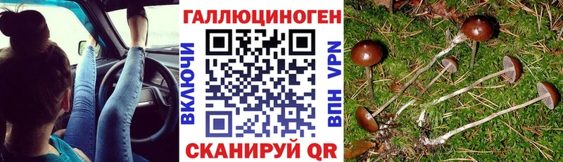 Псилоцибиновые грибы Psilocybe  Еманжелинск 